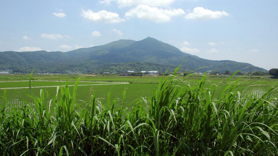 山登り