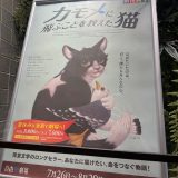 久々ミュージカル