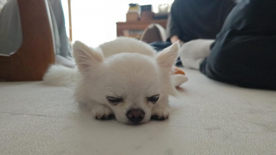 眠すぎる。