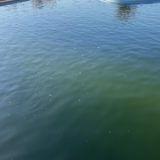 しらこばと水上公園　11月釣行