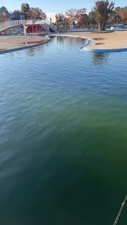 しらこばと水上公園　11月釣行