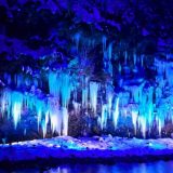 青玉当選者様発表