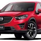 インジェクタークリーニング