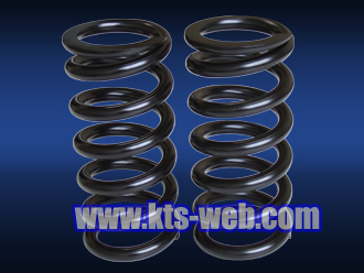 STRAIGHT TYPE SPRINGS