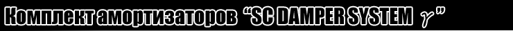 SC DAMPER SYSTEM gamma